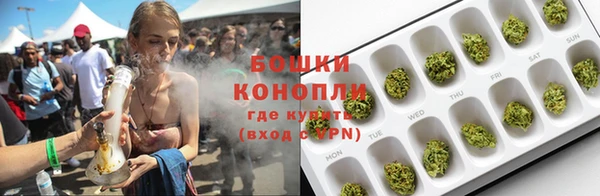 молекула духа Новодвинск