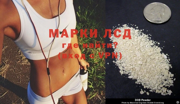 молекула духа Новодвинск