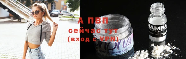 молекула духа Новодвинск