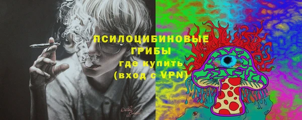молекула духа Новодвинск