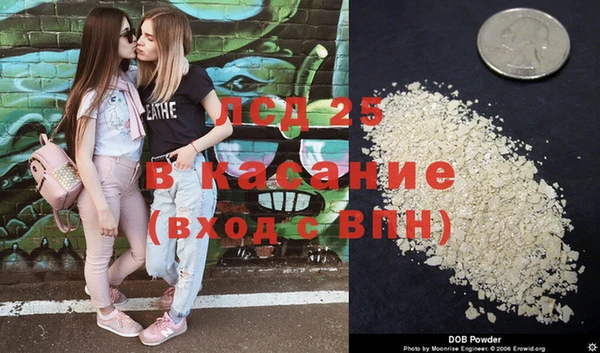 молекула духа Новодвинск