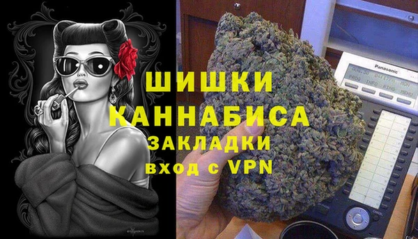 молекула духа Новодвинск